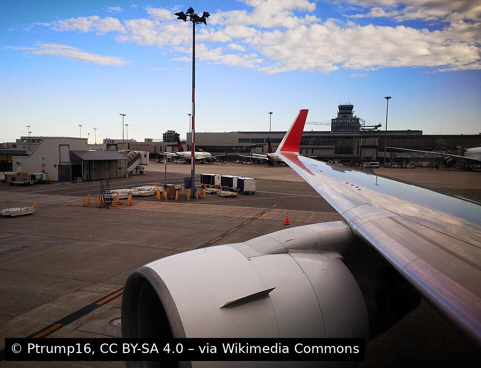 Airport Overview: International Scale with Seasonal Complexity