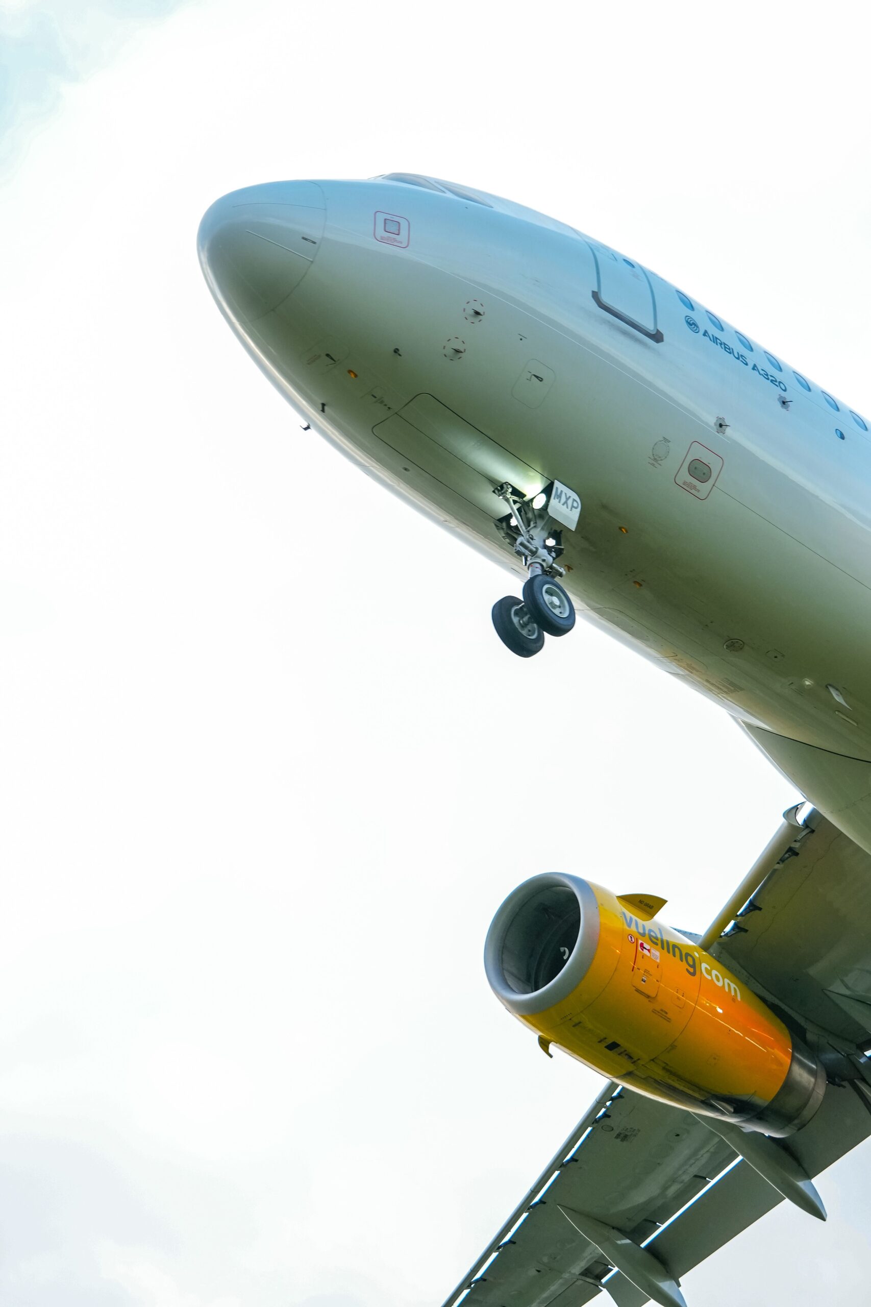 Dedicated FBOs
