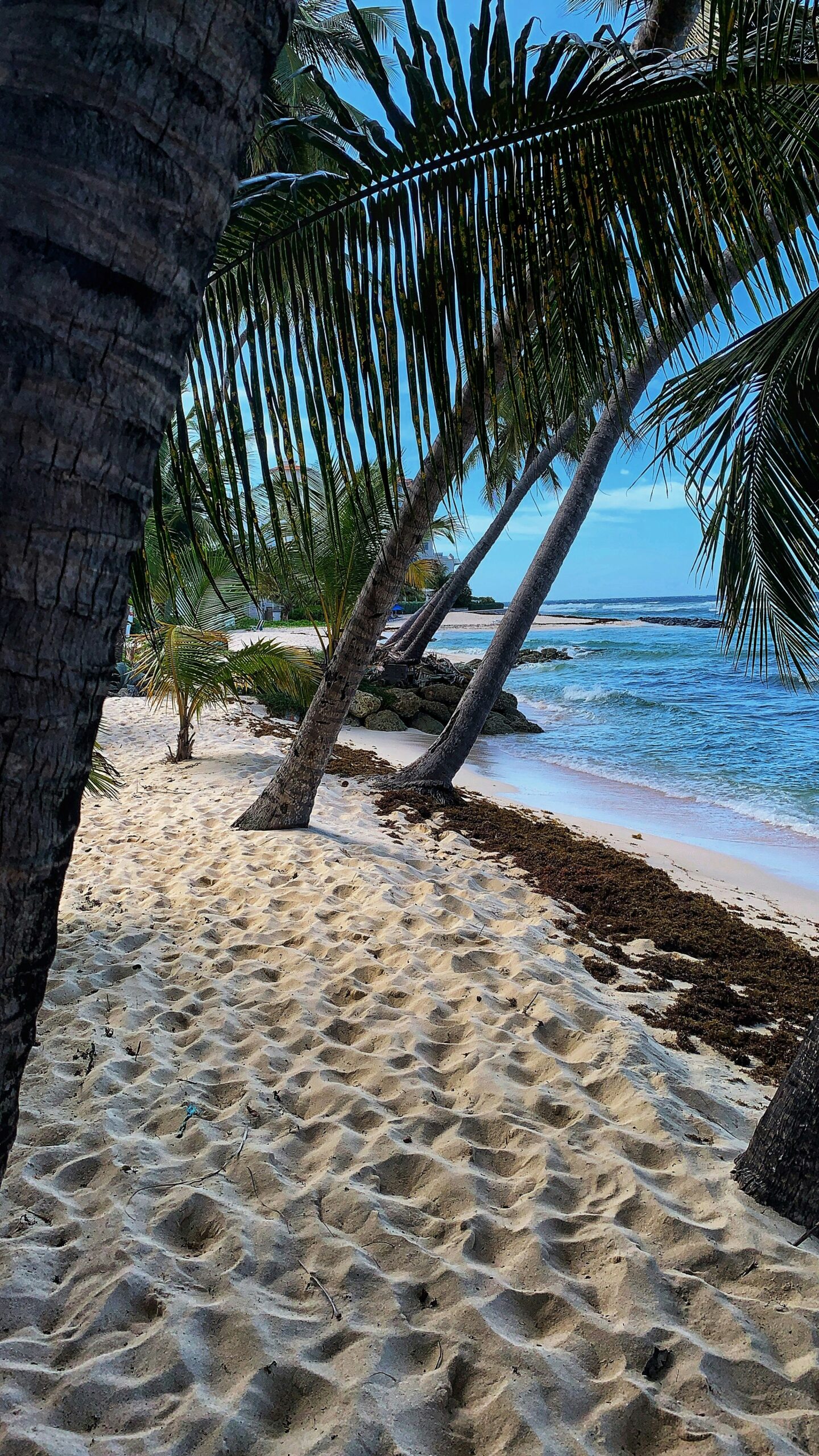 Private Jet Airports in Barbados