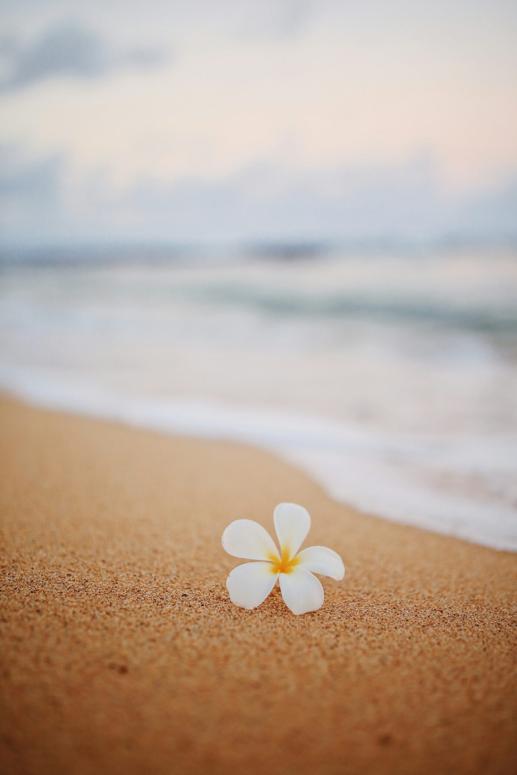 Popular Private Jet Routes to and from Hawaii