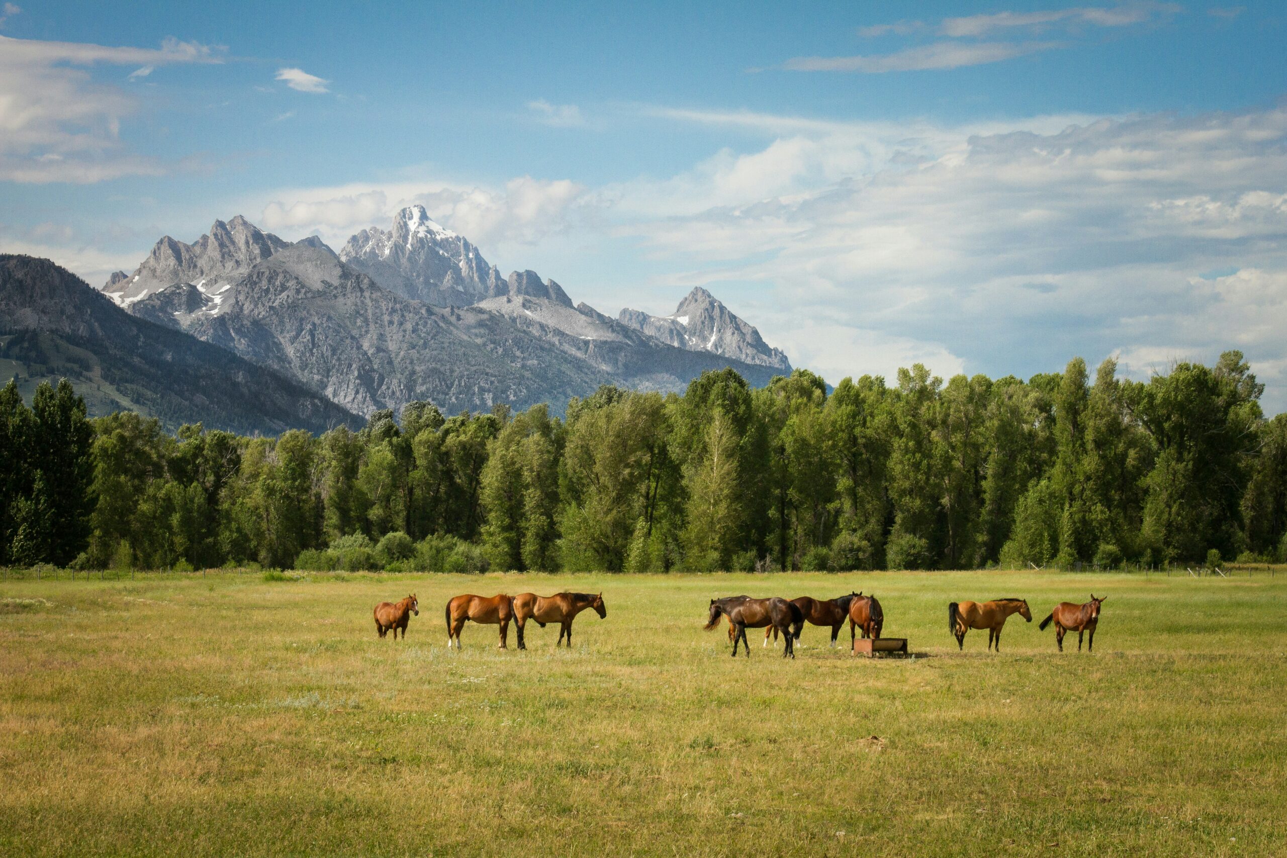 Why Fly Private to Jackson Hole?