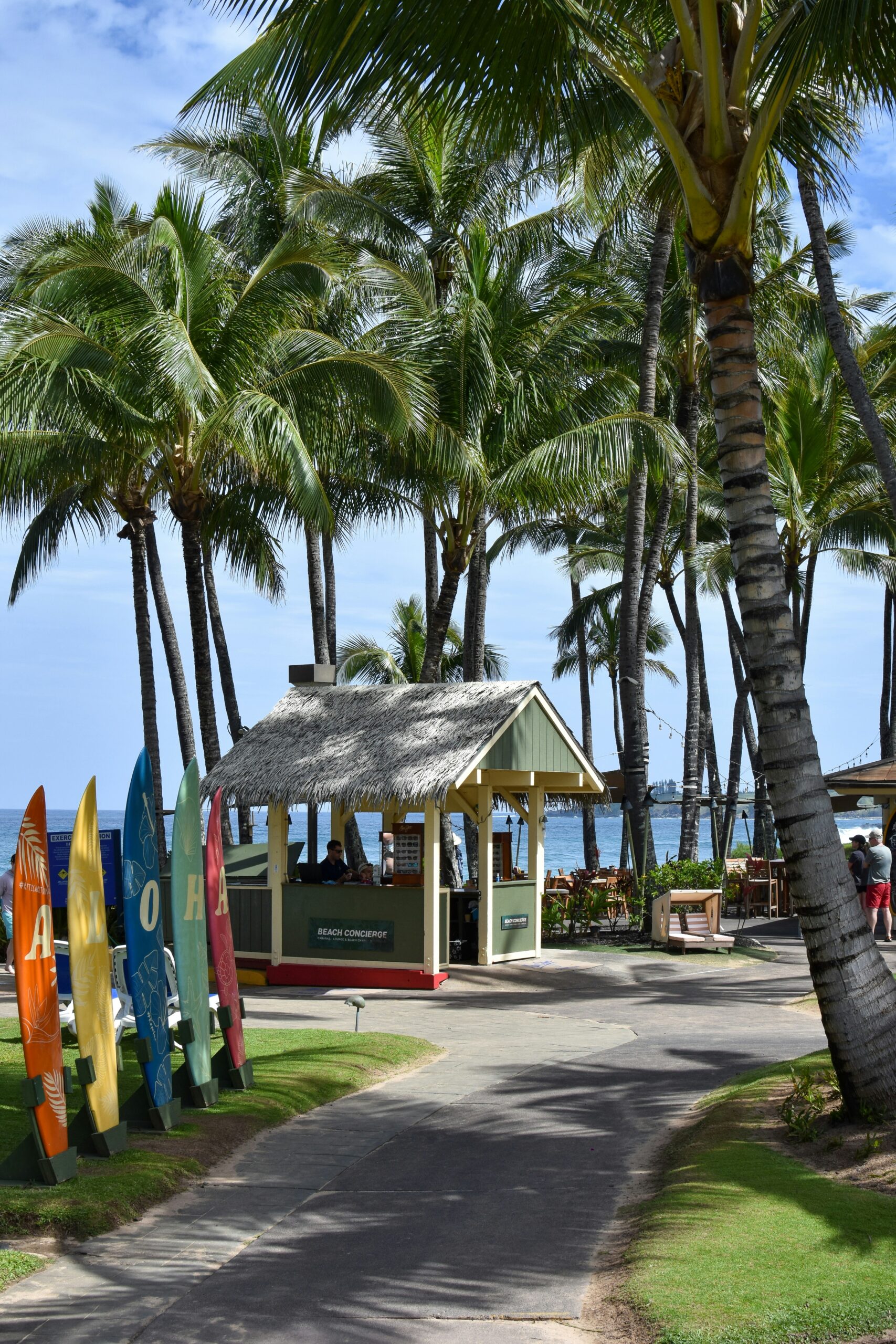 Popular Private Jet Routes to and from Maui