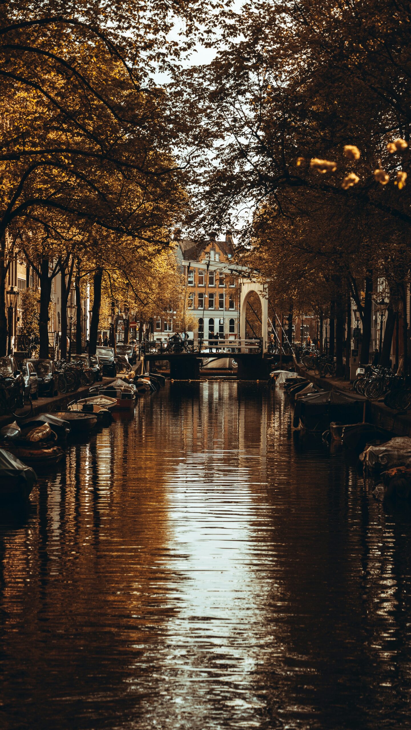 Private Jet Charter to and from Amsterdam