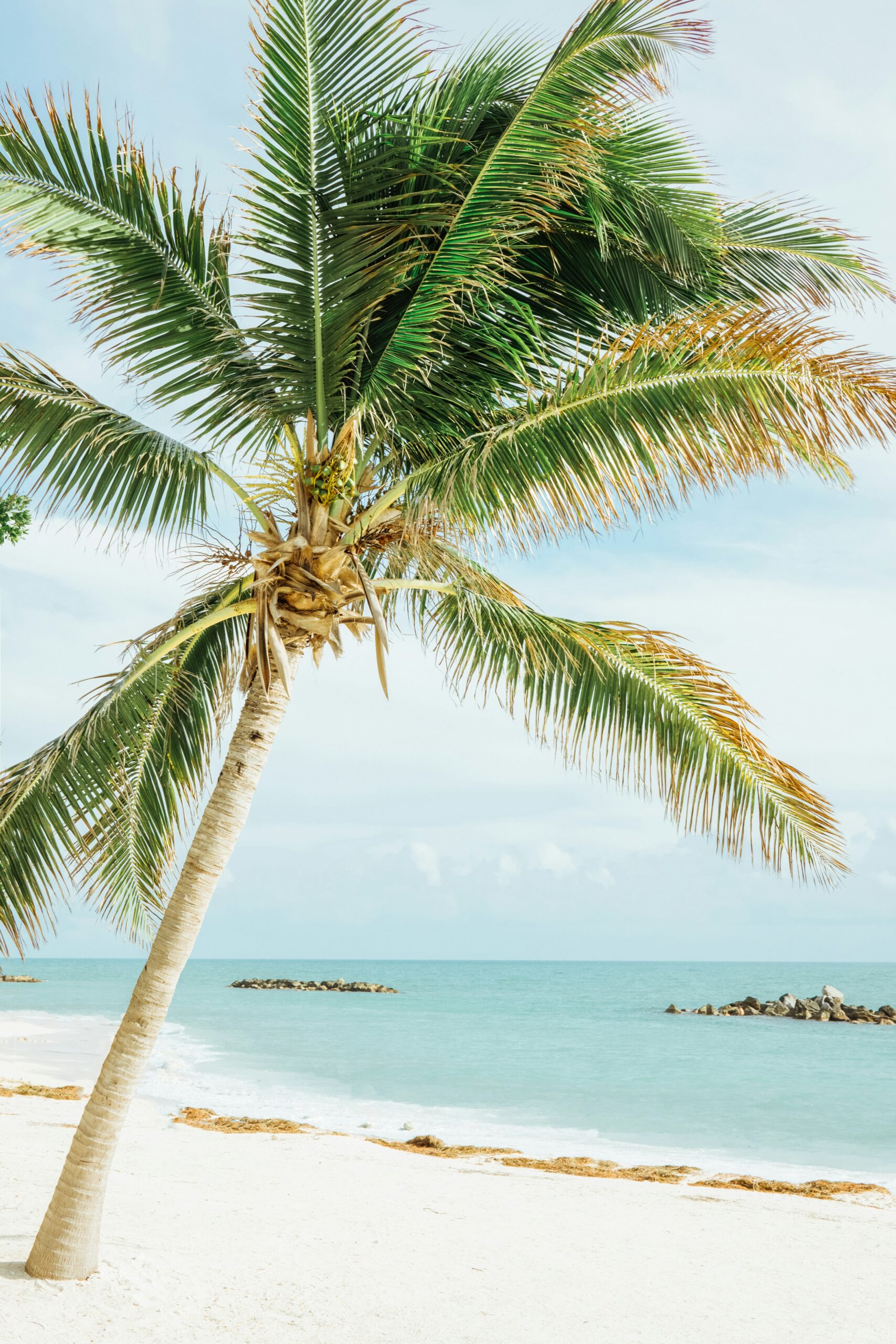 Private Jet Charter to and from Palm Beach