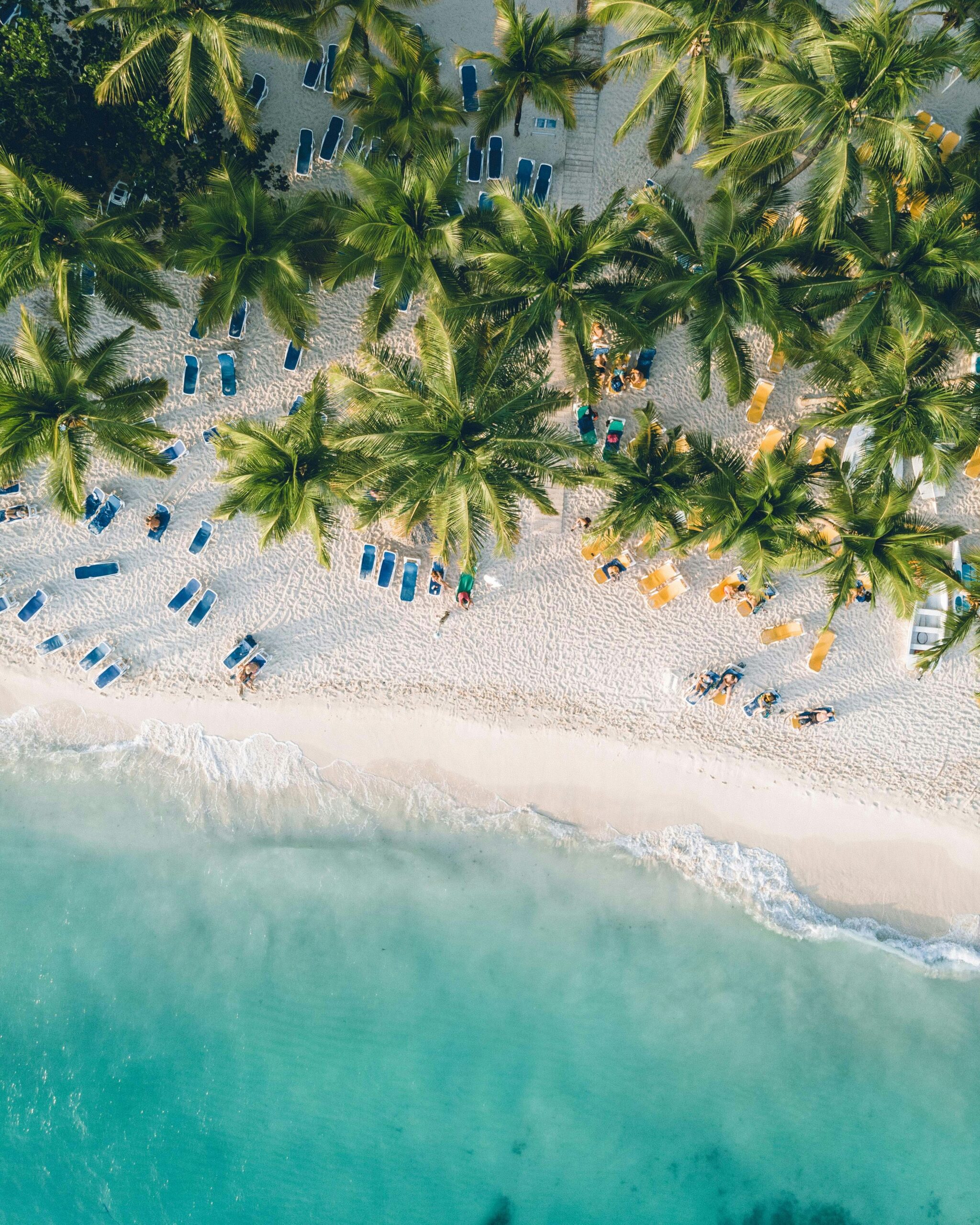 Hire a Private Jet to Punta Cana