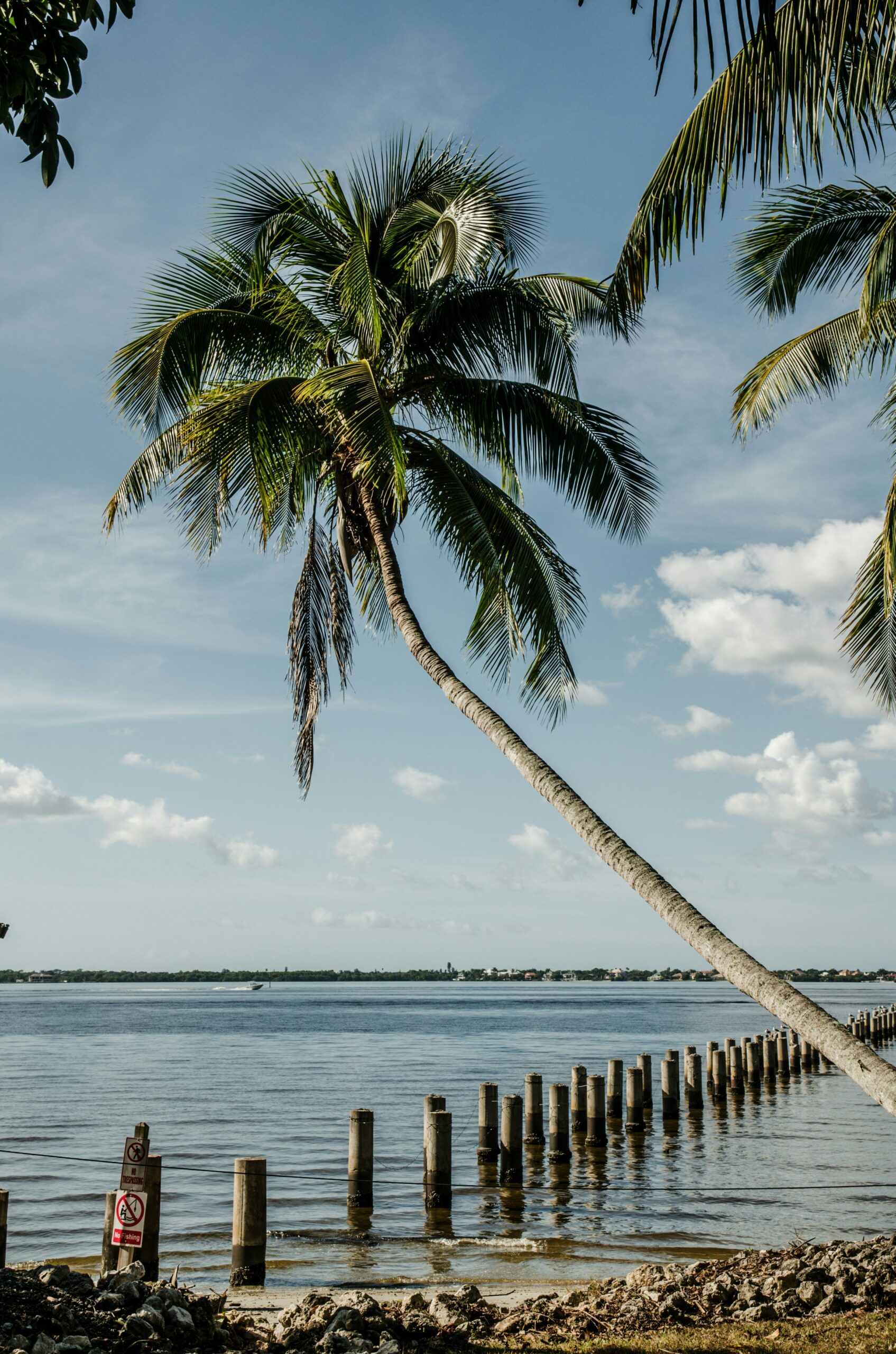 Popular Private Jet Routes to and from Fort Myers