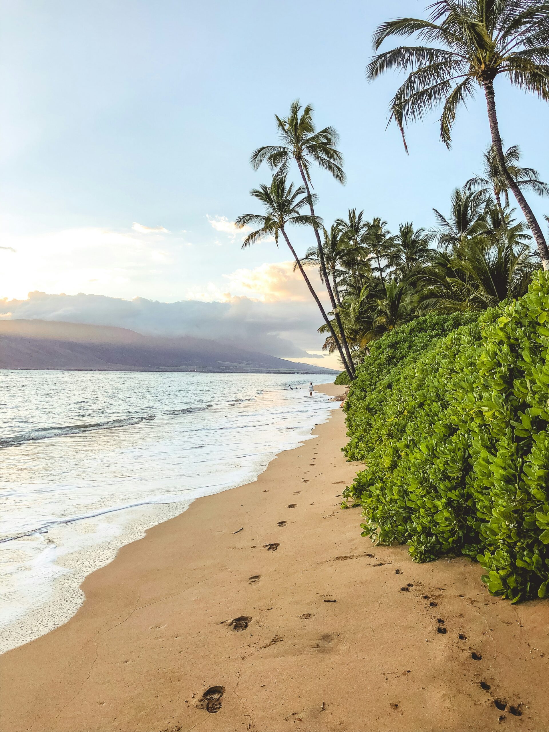 Why Fly Private to Maui?