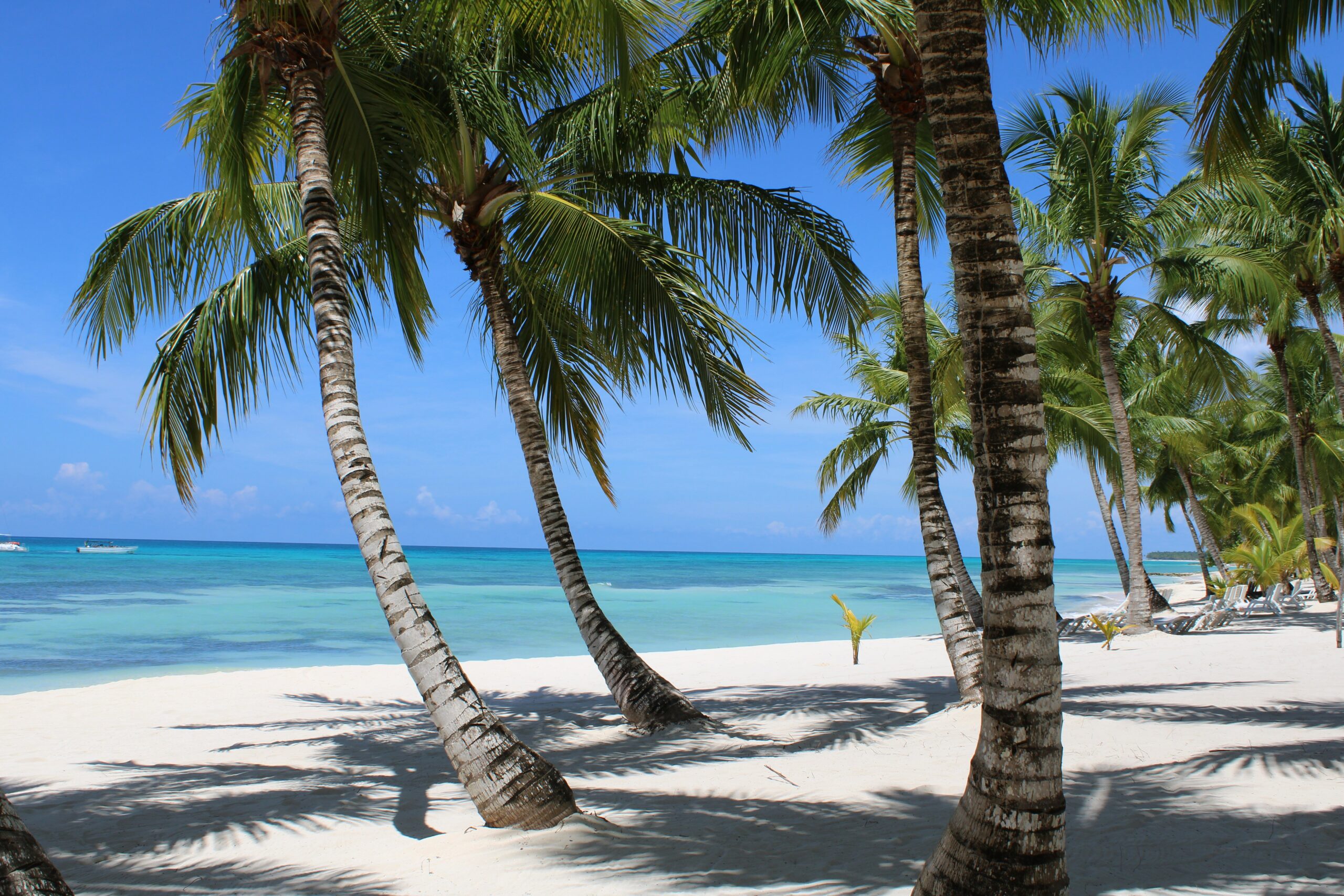 Hire a Private Jet to Santo Domingo