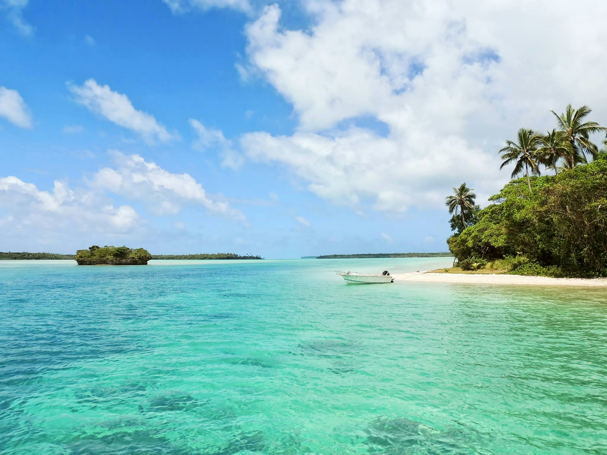 Private Jet Charter to and from Jamaica
