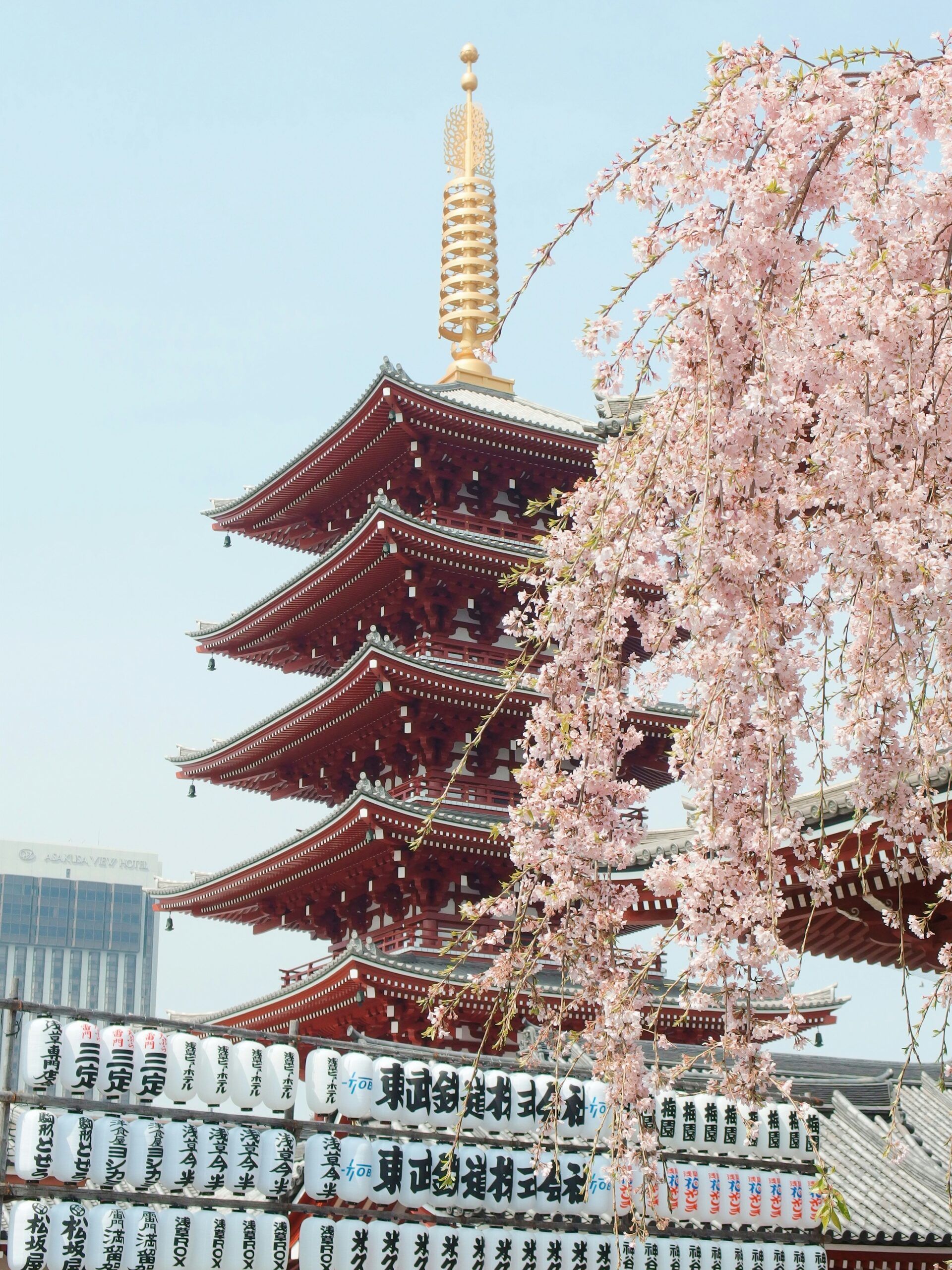 Popular Private Jet Routes to and from Tokyo