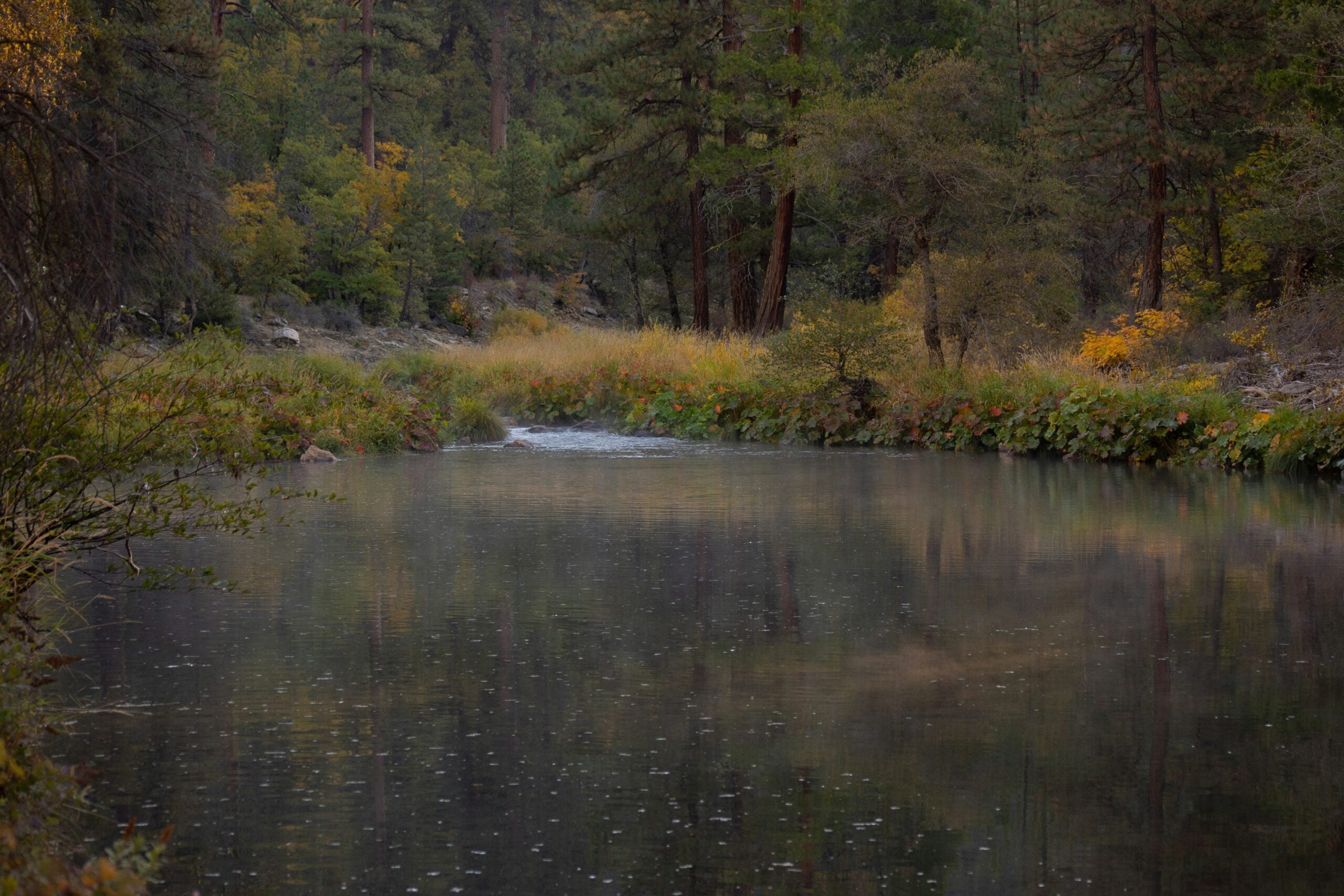 Why Fly Private to Beaver Creek?
