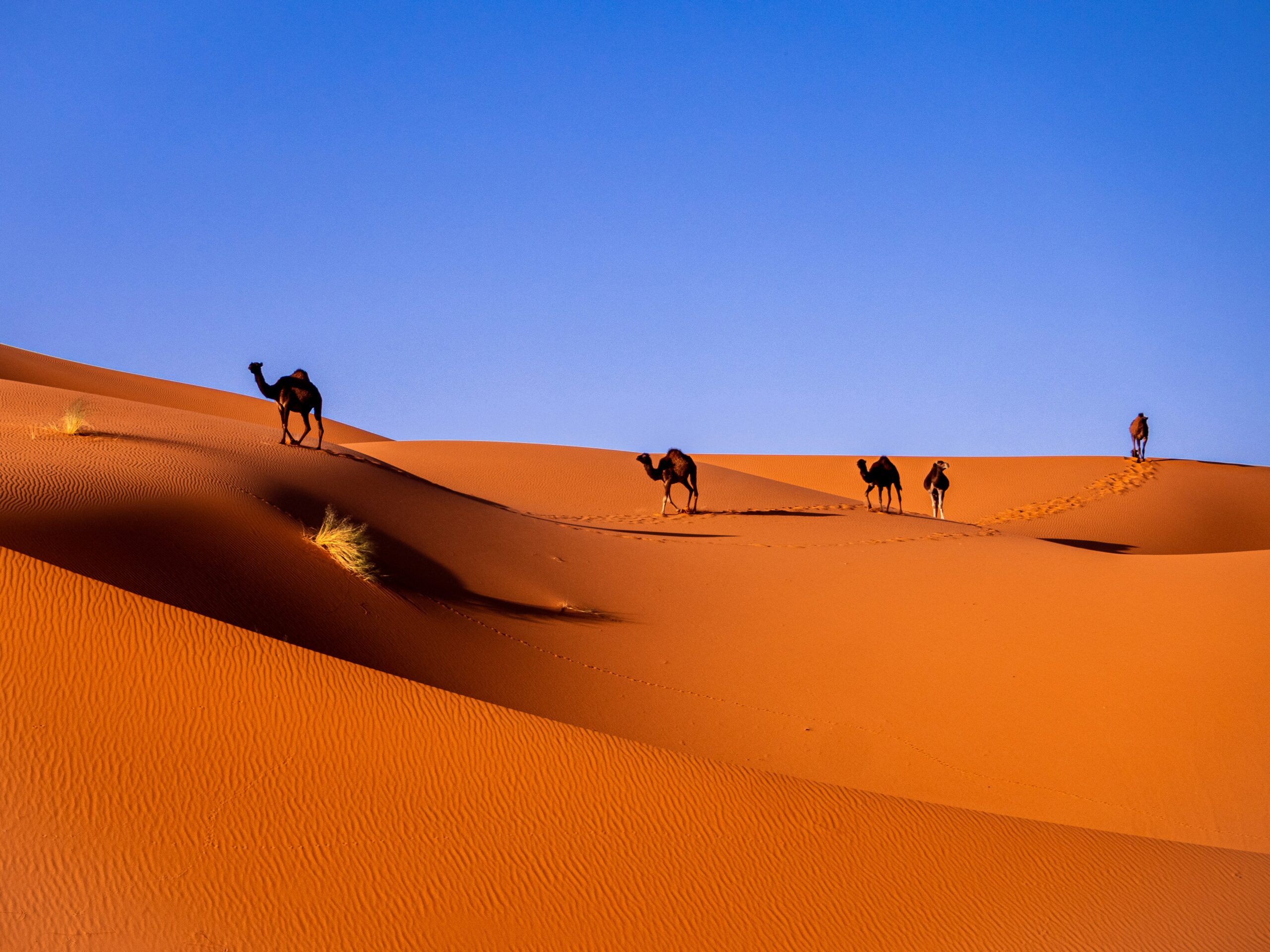 Why Fly Private to Morocco?