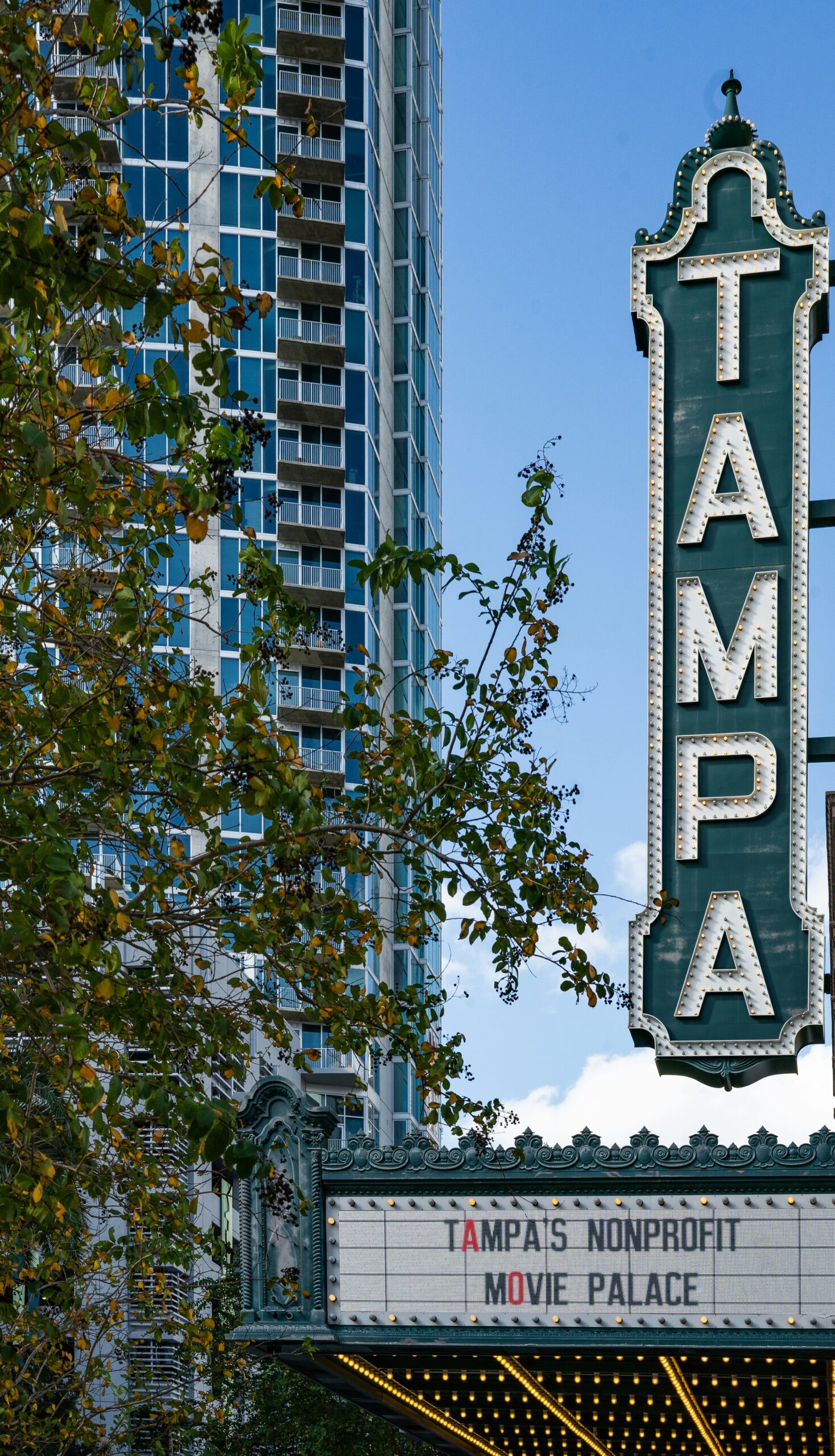 Private Jet Charter to and from Tampa