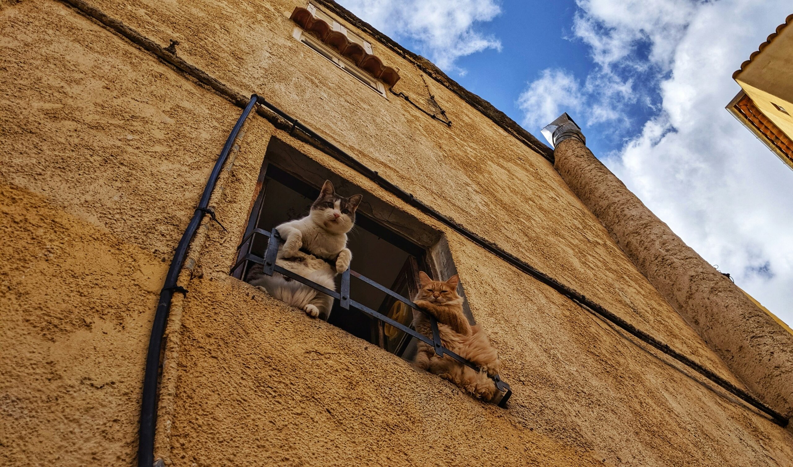 Why Fly Private to Calvi?