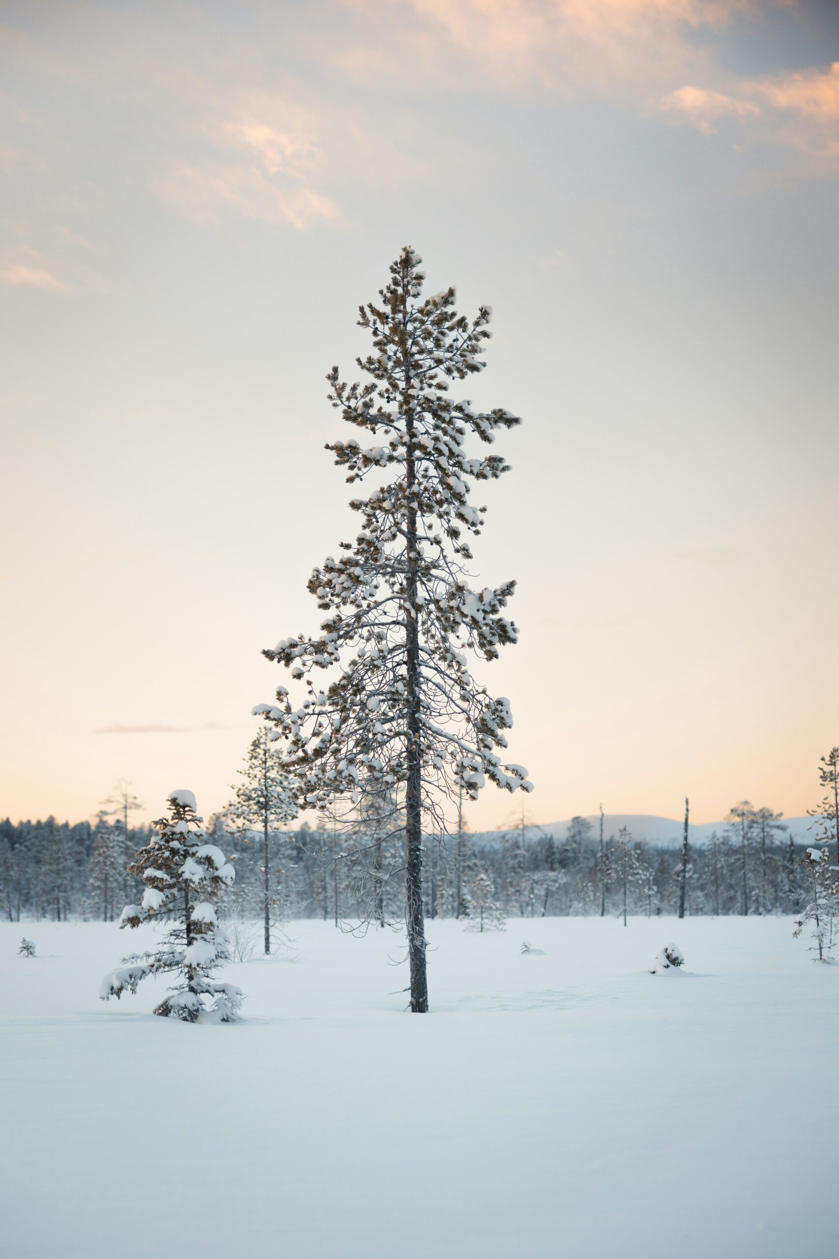 Private Jet Charter to and from Kittilä