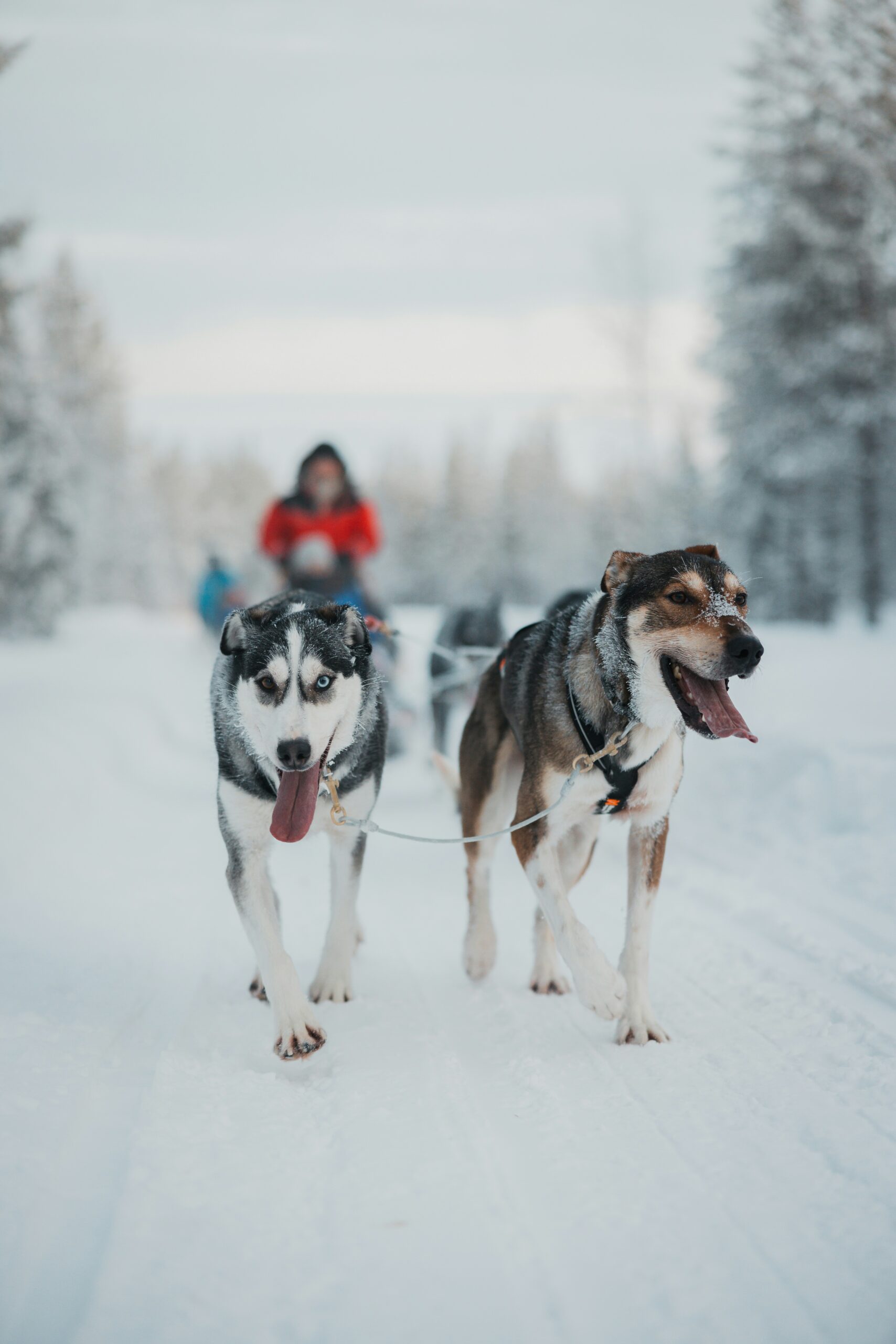 Why Fly Private to Kittilä?