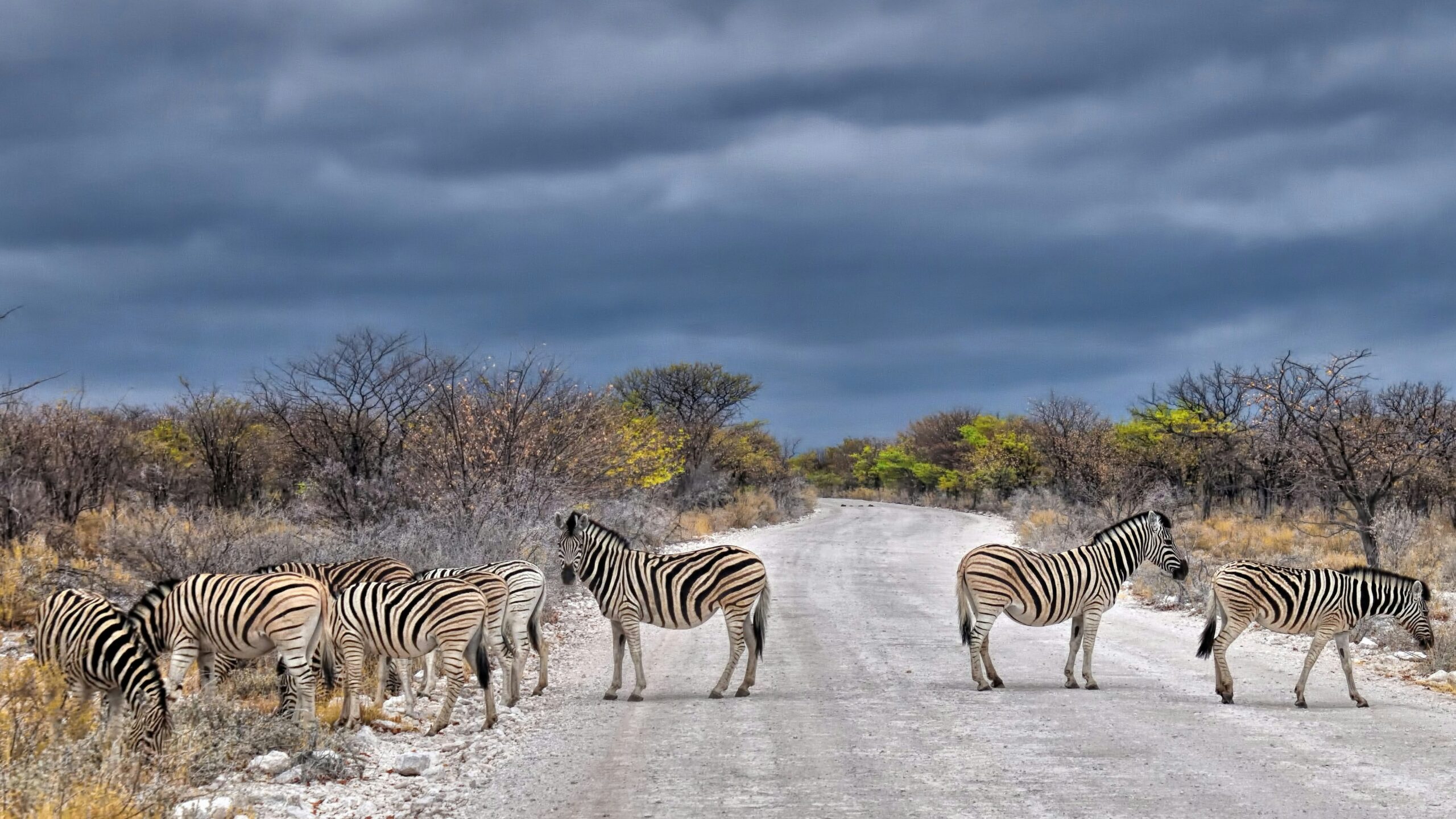 Private Jet Airports in Namibia