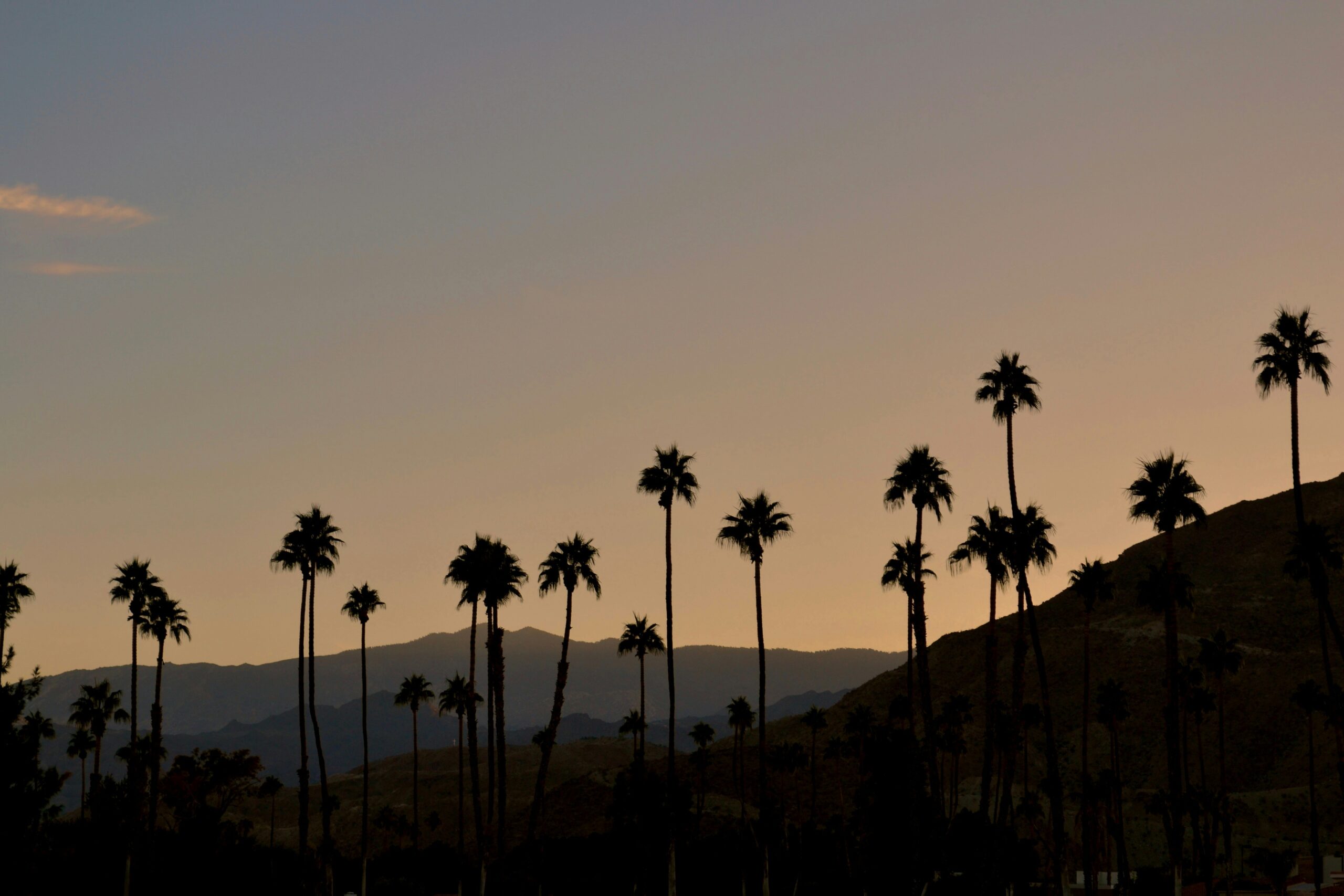 Private Jet Charter to and from Palm Springs