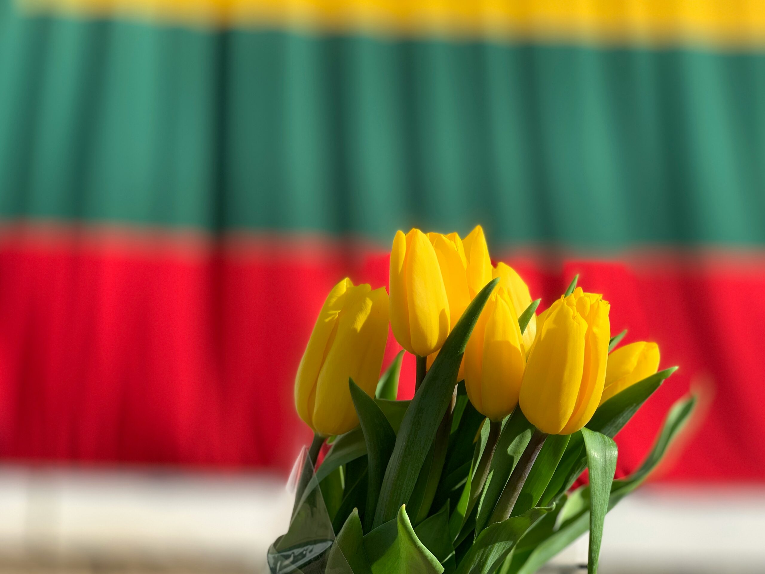 Why Fly Private to Lithuania?