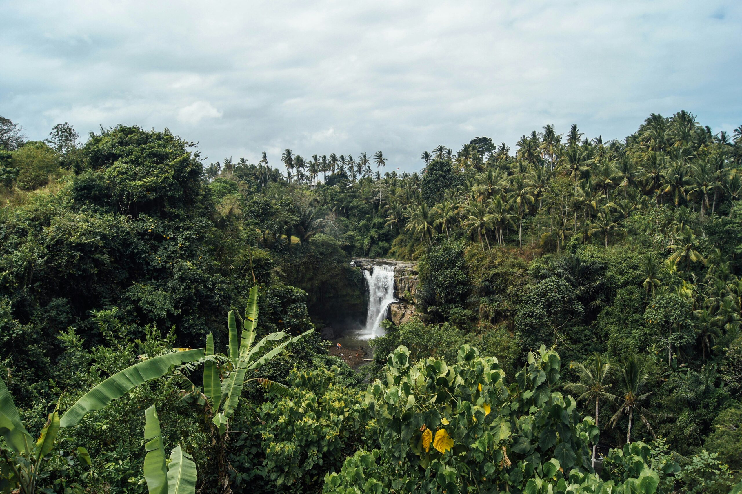 Why Fly Private to La Romana?