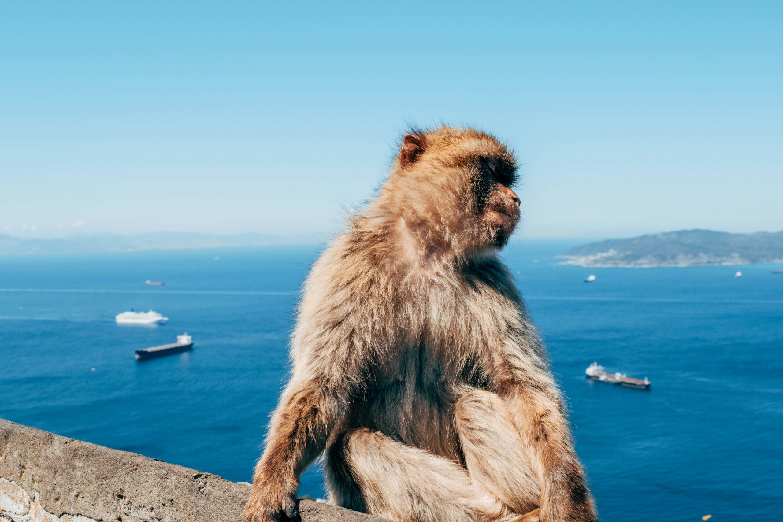 Private Jet Airports in Gibraltar