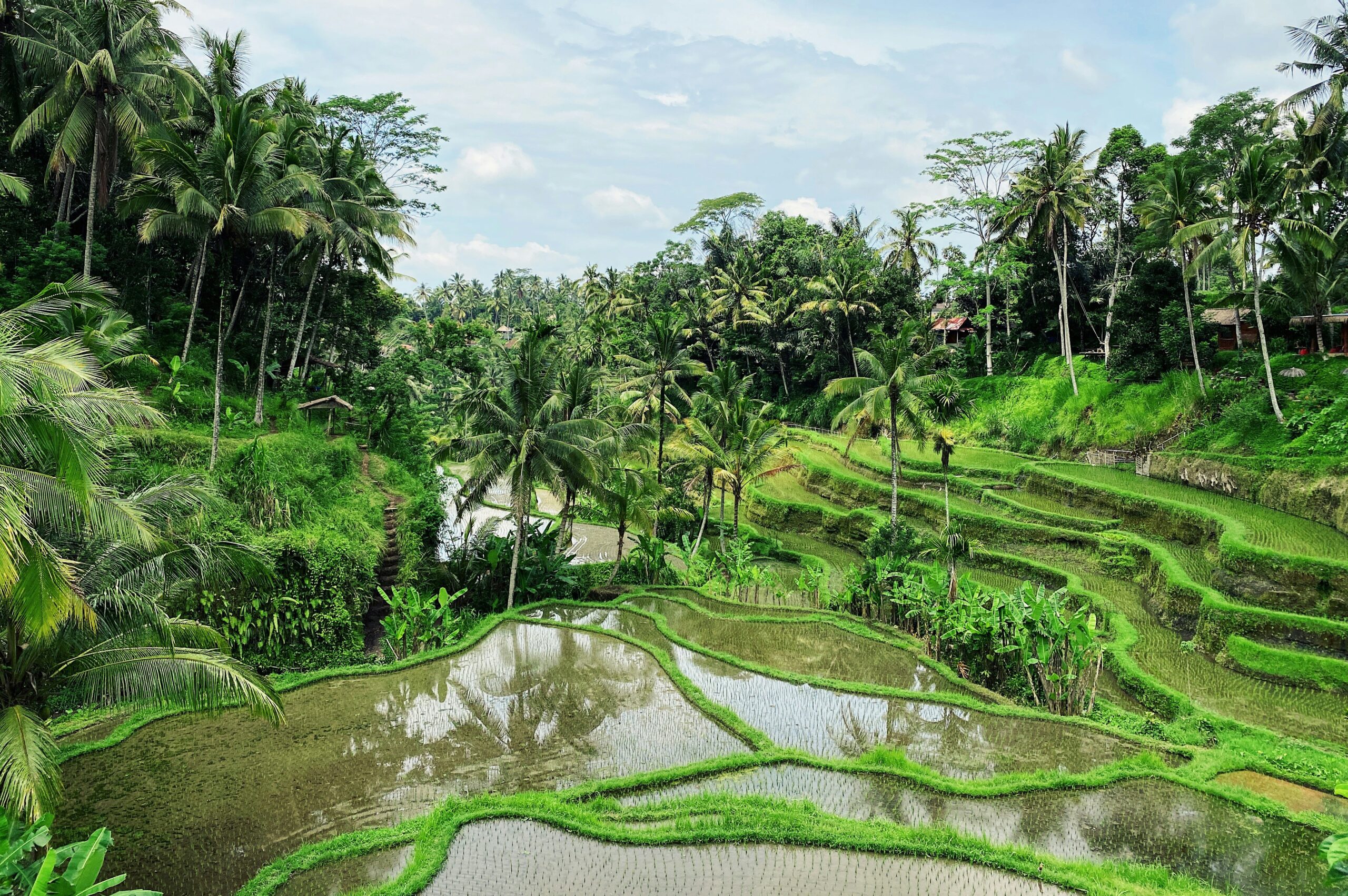 Private Jet Charter to and from Ubud