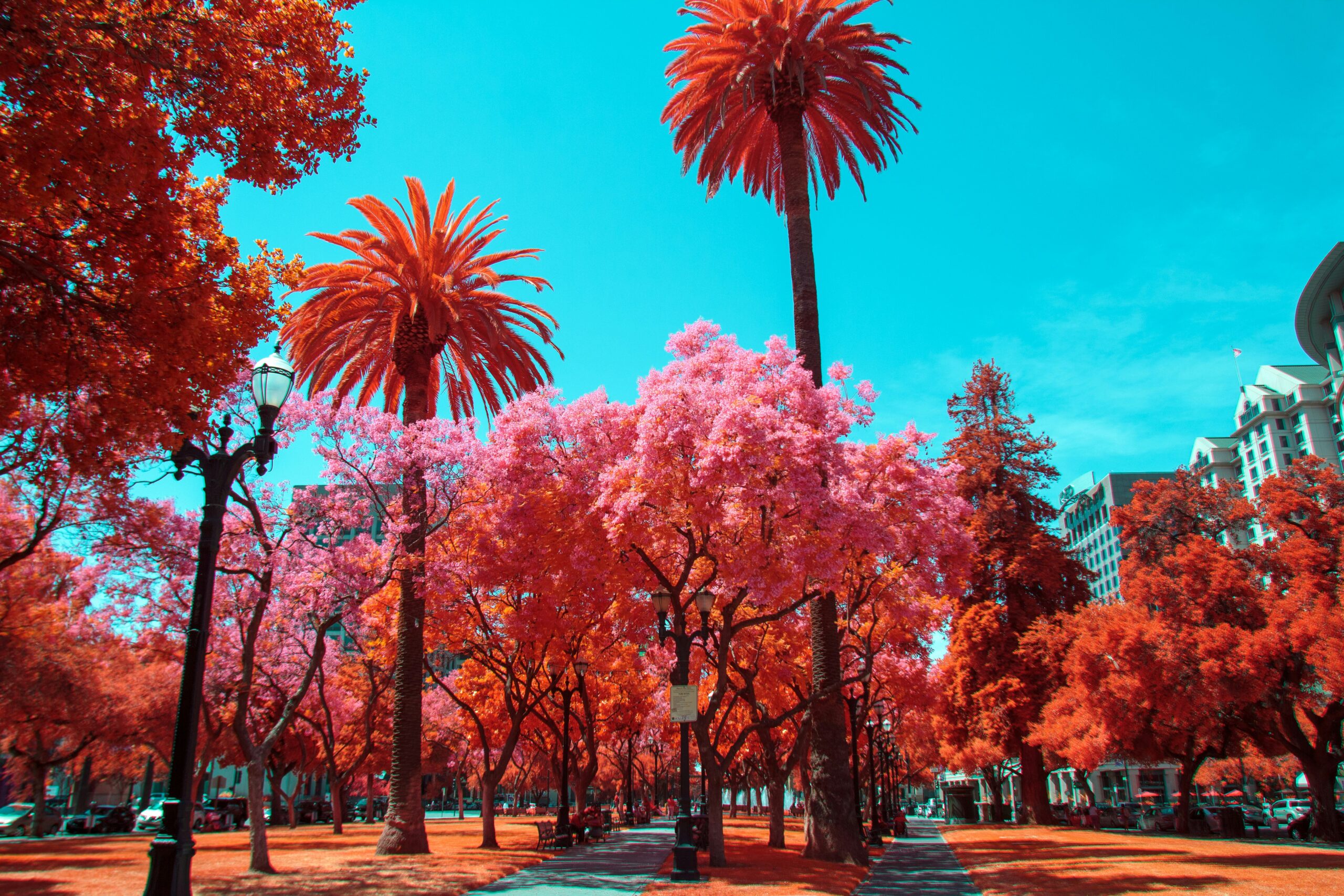 Popular Private Jet Routes to and from San Jose