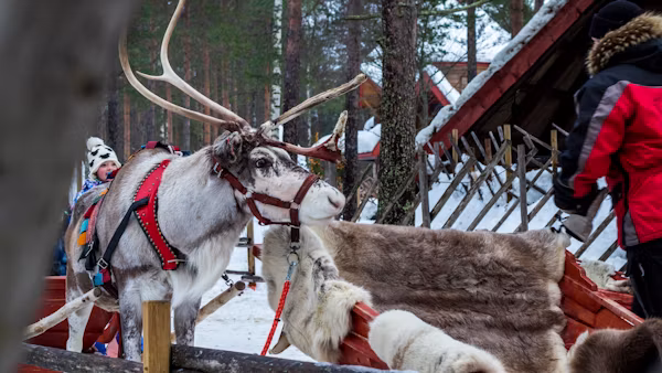 Popular Private Jet Routes to and from Rovaniemi