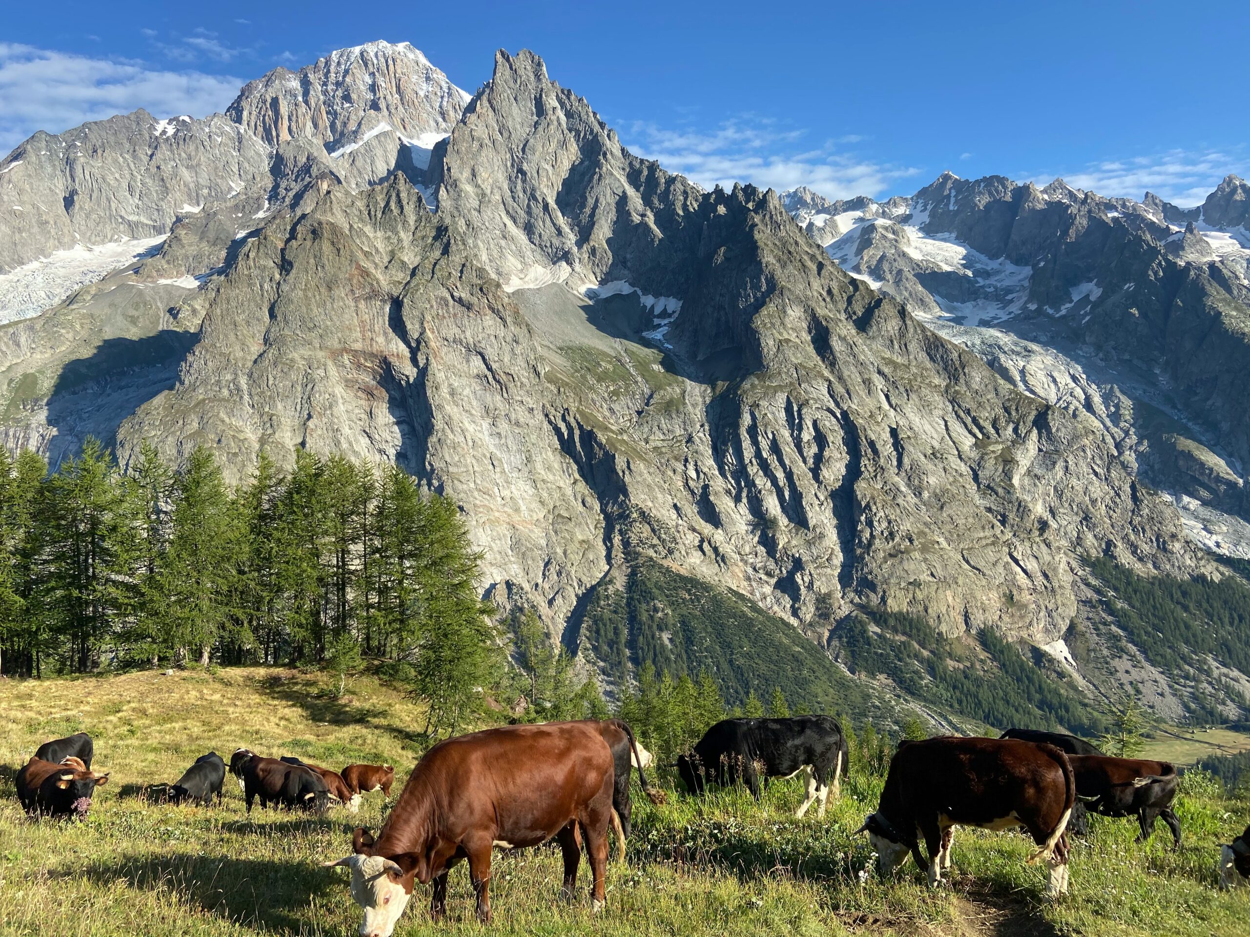 Why Fly Private to Courmayeur?