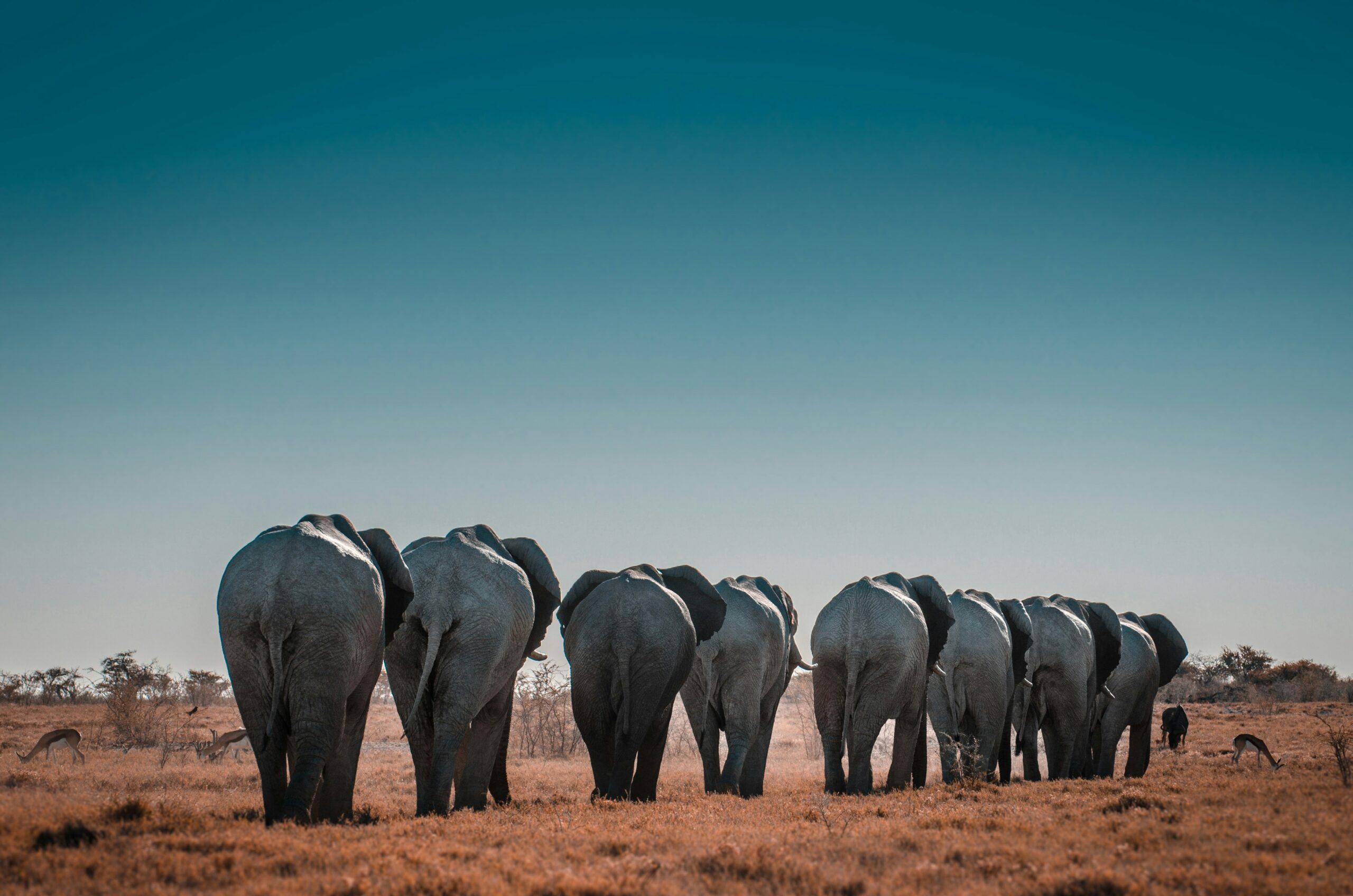 Why Fly Private to Namibia?