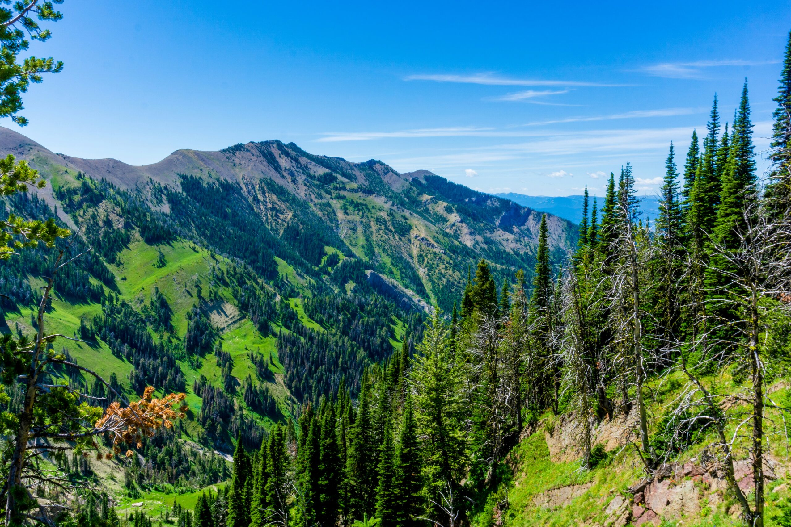 Private Jet Charter to and from Bozeman