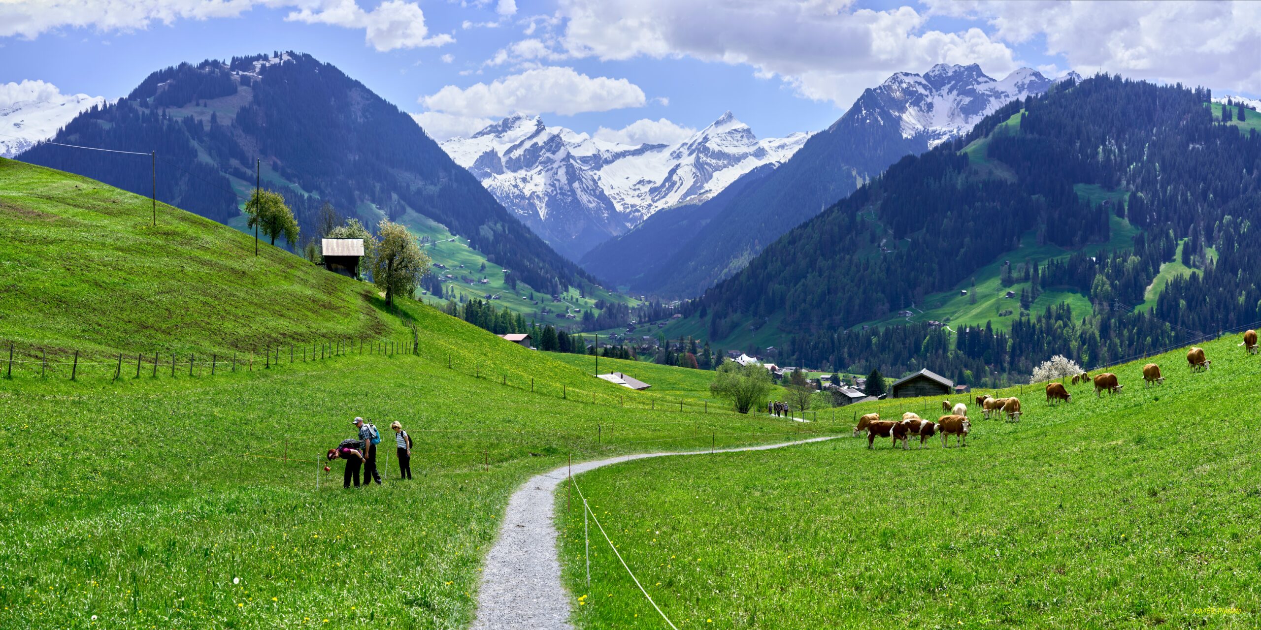 Private Jet Charter to and from Gstaad